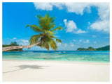 Tropical Beach, Seychelles (Detail)-Paper Art-50,,X38,,