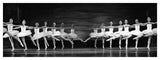 Swan Lake Ballet-Paper Art-56,,X20,,