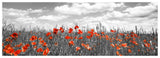 Poppies In Corn Field, Bavaria, Germany-Paper Art-74,,X26,,