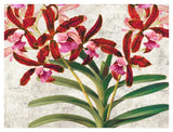 Botanique Moderne I-Paper Art-42,,X32,,