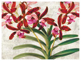 Botanique Moderne I-Paper Art-50,,X38,,