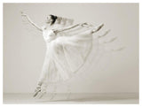 Leaping Beauty-Paper Art-50,,X38,,