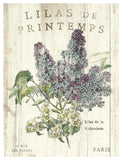 Lilas De Printemps -Paper Art-38X50