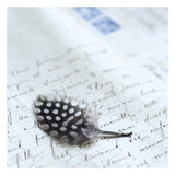 Plume Letters I -Paper Art-26X26