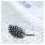 Plume Letters I -Paper Art-42X42