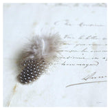 Plume Letters Ii -Paper Art-38X38