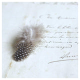 Plume Letters Ii -Paper Art-42X42