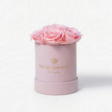 Essence Light Pink Suede Box | Light Pink Roses
