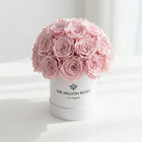 Essence White Superdome Box | Light Pink Roses