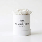 Essence White Box | White Roses