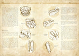Make your own medieval clothing - Shoes of the High and Late Middle Ages