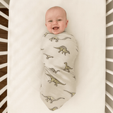 Legendary Swaddle