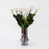Long Stem Roses | White Roses