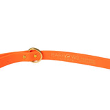 Barrows Dog Leash - Orange