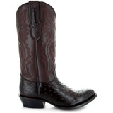 Men's Brown Ostrich Print Cowboy Boots (H7002)