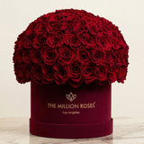 Supreme Bordeaux Suede Superdome Box | Burgundy Roses
