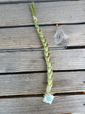 Sweetgrass Braid