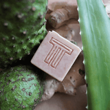 Unscented Soursop Soap