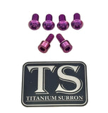 Titanium E-Moto Headlight Mount Bolts