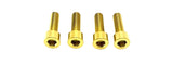 Titanium E-Moto Brake Handle-Mount Bolts