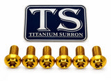 Titanium Front Rotor Bolts - E-Moto