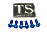 Titanium Rear Rotor Bolts - Most E-moto