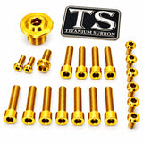 Titanium Surron Ultra Bee OEM Fork Bolt Kit