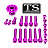 Titanium Surron Ultra Bee OEM Fork Bolt Kit