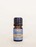 Jasmine Absolute 10% Essential Oil, 5mL