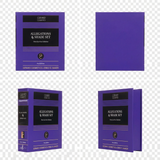 Limited Edition Box Set : Emily D. Baker X Gerard Cosmetics®️ 3 Lip Gloss Set Allegations & Shade Collection