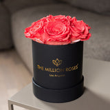 Essence Black Box | Coral Roses