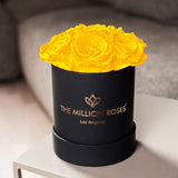 Essence Black Box | Yellow Roses