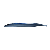 Berkley Gulp!&reg; Saltwater Sand Eel 5inch Silver Mud