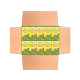 Organic Moringa Energy Tea - Ginger Lemon - Natural Coffee Alternative