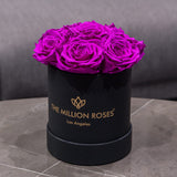 Essence Black Box | Bright Purple Roses