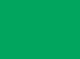 Fiber Reactive Fabric Dye for Cotton - 2/3 Ounce - Bright Green