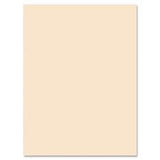 Medium Weight Tagboard, 18 x 12, Manila, 100/Pack