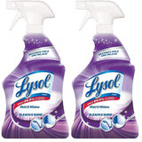 1201326 Lysol Mildew Remover32Oz Lysol Mold And Mildew Stain Remover 32 Oz (Pack Of 12)