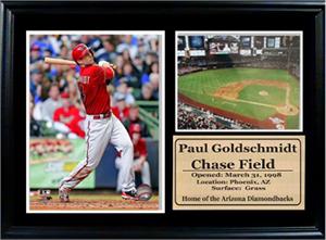 12X18 Photo Stat - Arizona Diamondbacks Paul Goldschmidt