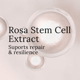 Rose Revitalizing Treatment Mask 3.0