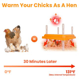 15W Chicken Brooder Heater with Adjustable Height Angle Max 131℉