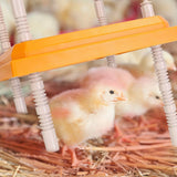 15W Chicken Brooder Heater with Adjustable Height Angle Max 131℉