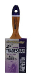 PAINT BRUSH TM POLY2.5 (Pack of 1)