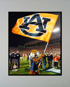 11X14 Mat - Auburn Univ
