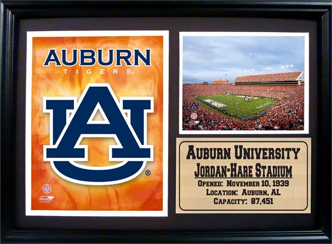 12X18 Photo Stat Frame - Auburn University