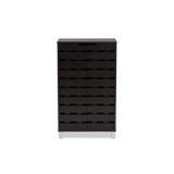 Baxton Studio Ernest Modern And Contemporary Dark Brown Finished Wood 2-Door Shoe Storage Cabinet