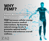 Infrared PEMF Travel Mat
