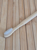 Miswak toothbrush