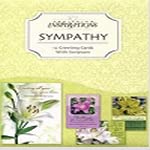 Faithfully Yours 165245 Sympathy CardBoxed EverlastLight Box of 12
