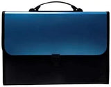 Hellaro Presents Plastic File Folder F/C Expanding Bag With Handle Colours May Vary